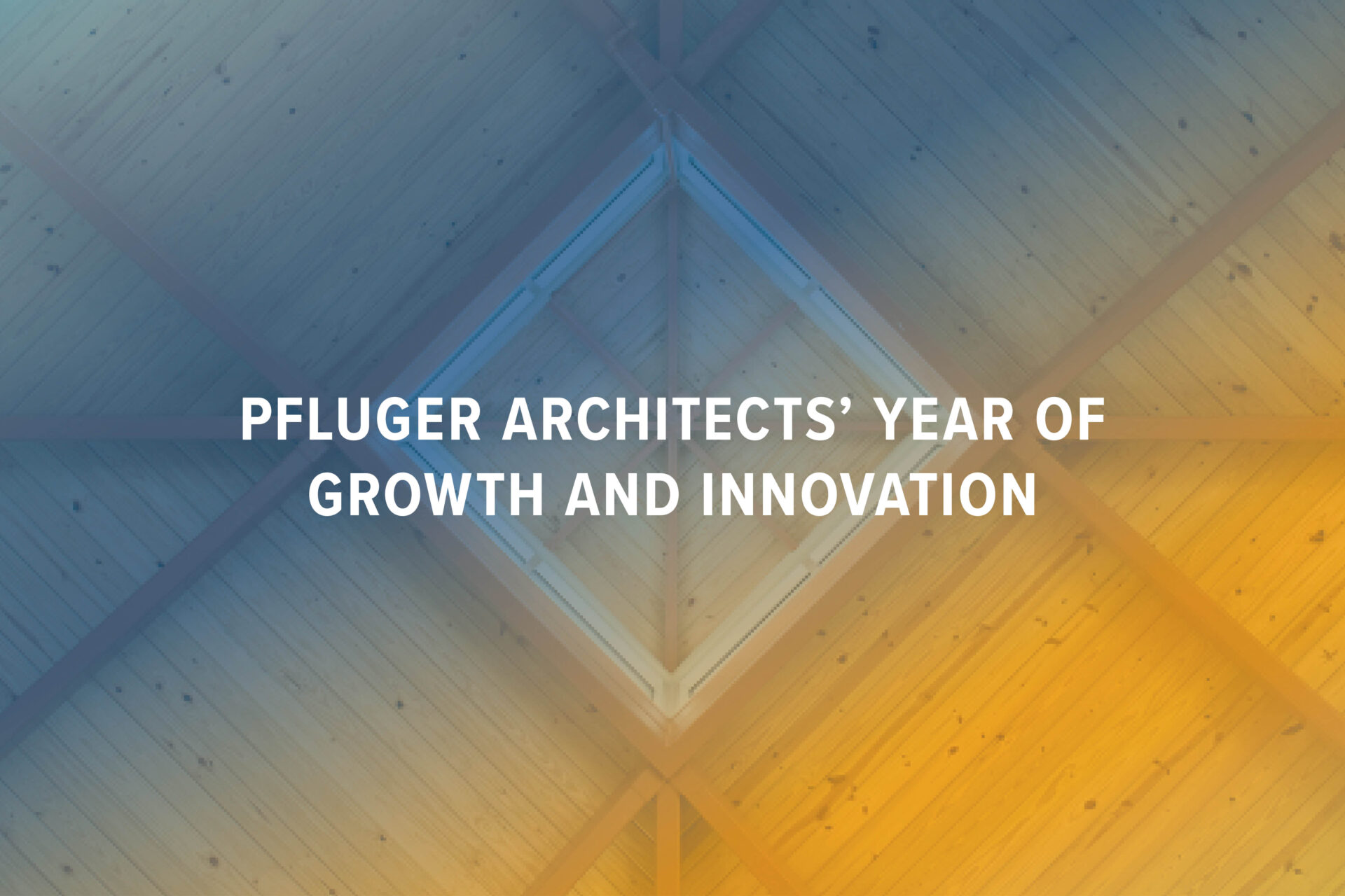 Pfluger's year of growth and innovation